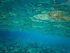 日本が南鳥島のレアアース試掘へ、中国ネット「どこで精錬するつもり？」「匠の精神でどうにかなるか見ものだ.」