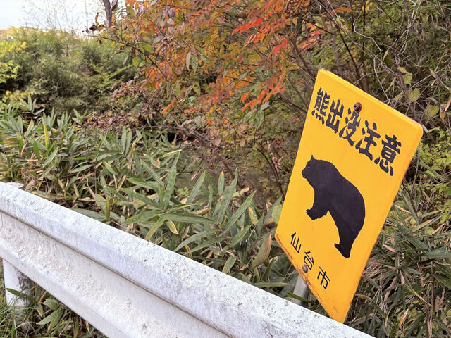 【🐻ｱｹｵﾒ】南三陸・歌津の民家敷地にクマ出没
