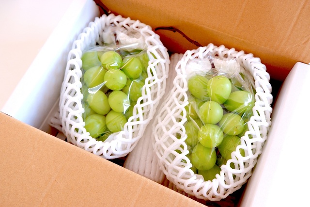 【ふるさと納税】「おいしい肉や果物の代わりに失った」行政サービス。東京都では“累計1兆1593億円”が流出