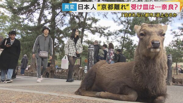 1泊20万円はざら　京都から日本人が消える…受け皿は高市首相の地元、奈良　でも夜7時には人がいない