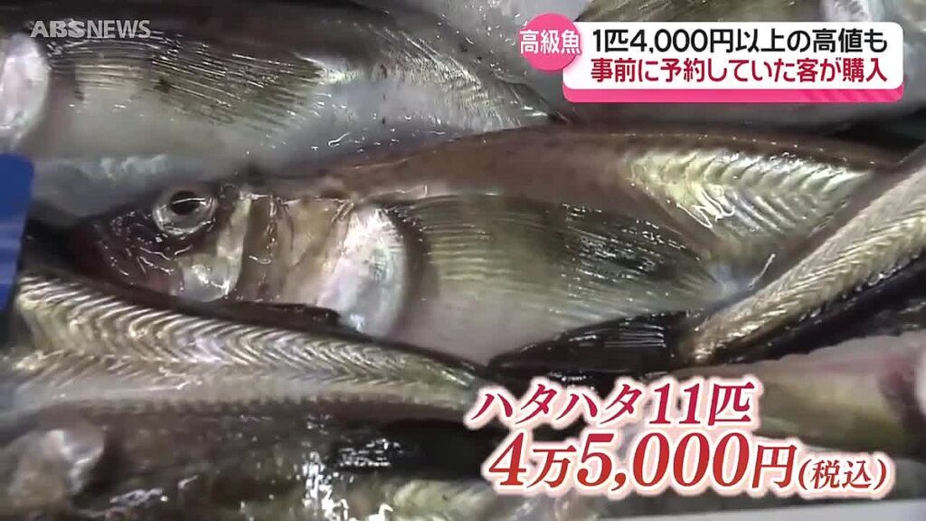 【話題】県産の季節ハタハタがようやく店頭に！秋田市の鮮魚店では1匹4,000円以上の高値で販売も…入荷を心待ちにしていた客が購入
