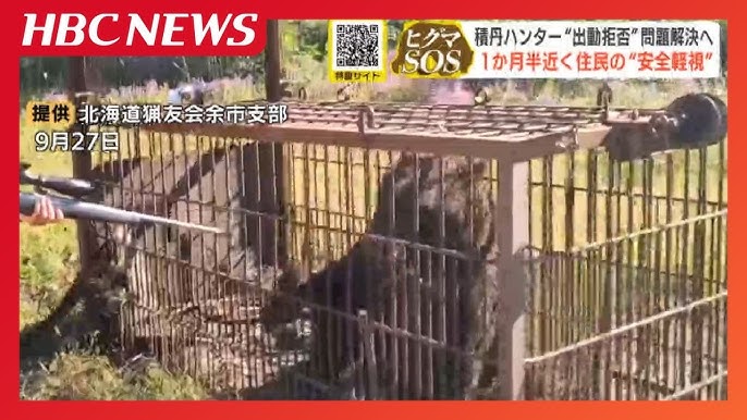 【北海道積丹町】「お前、俺のこと知らねえのか？」ヒグマ駆除めぐる副議長発言で地元ハンターが“出動拒否”約1か月半後に副議長は謝罪