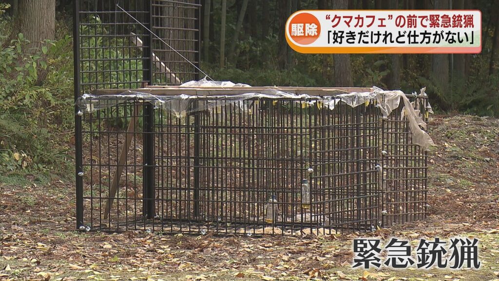 【（・(ｪ)・）】「クマカフェ」の前で緊急銃猟　クマ1頭がワナにかかる　カフェオーナーの女性「好きだけれど仕方がない」新潟・胎内市
