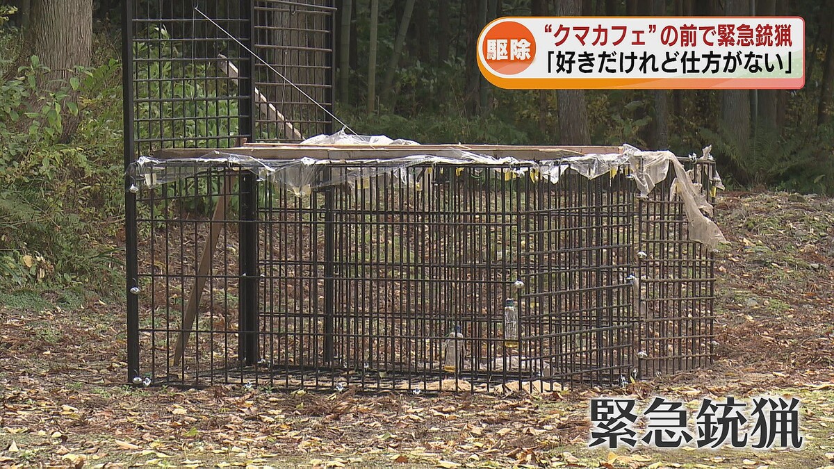 【（・(ｪ)・）】「クマカフェ」の前で緊急銃猟　クマ1頭がワナにかかる　カフェオーナーの女性「好きだけれど仕方がない」新潟・胎内市