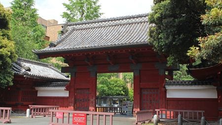 中国人は「高1レベルの試験」で東大に合格している…日本に押し寄せる理由