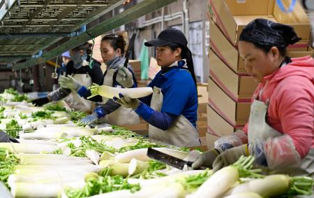 外国人住民　10道県10年で2倍超　熊本トップ、北海道、鹿児島、沖縄が続く　人手不足背景