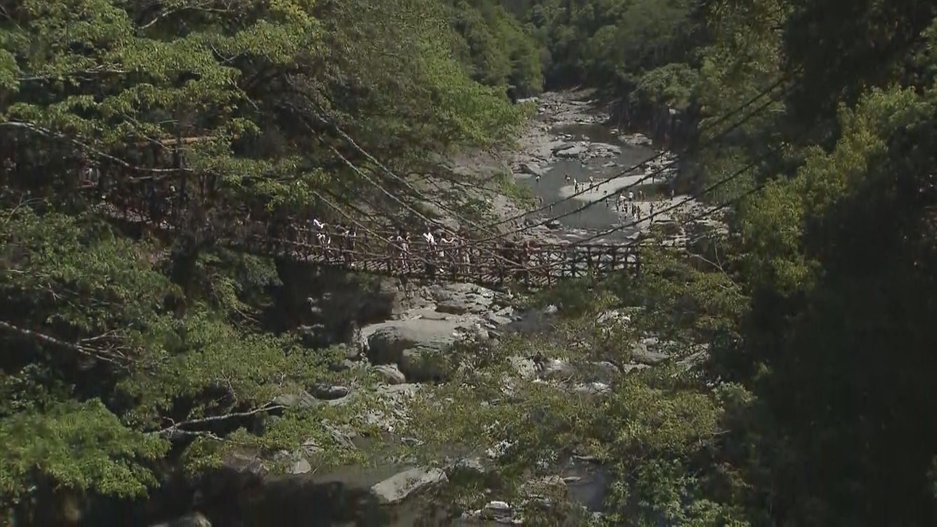 【徳島】「祖谷のかずら橋」で事故が発生　高齢男性が死亡　約10m下の川岸に誤って転落か