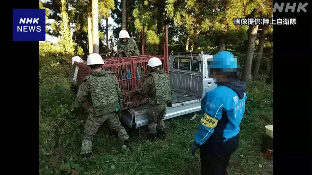 クマ被害 自衛隊 秋田での捕獲活動支援は11月30日で終了へ