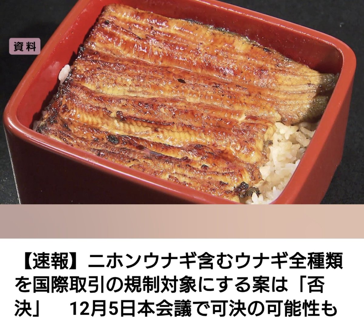 【鰻】ニホンウナギ含むウナギ全種類を国際取引の規制対象にする案は「否決」　12月5日本会議で可決の可能性も