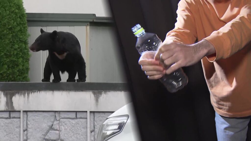 【文科省】「空のペットボトル」が“熊対策”に?森にない「ペコペコ音」で撃退か　過去最悪12人死亡の“熊災害”警察官がライフル銃で駆除へ