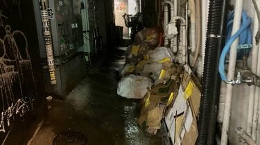 【東京】「絶対増えてるでしょ…」「子猫サイズになってる」 歌舞伎町の《大量ネズミ》 新宿区は1229万円かけて対策も…“恐ろしい現実”