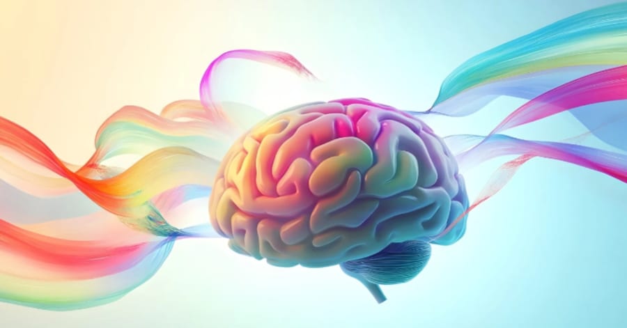 【オランダ・マーストリヒト大学研究】皮がついているピーナッツを16週間食べ続けただけで、脳の血流が増加し、記憶力が改善する 「手軽で安価な食品なのに、脳の健康をこれほど支えられるとは予想以上だった」