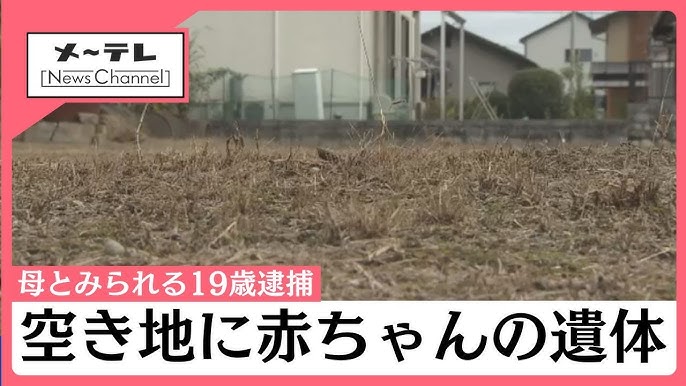 【岐阜】空き地にへその緒がついた赤ちゃんの遺体 母親とみられる飲食店アルバイトの19歳女を逮捕 各務原市