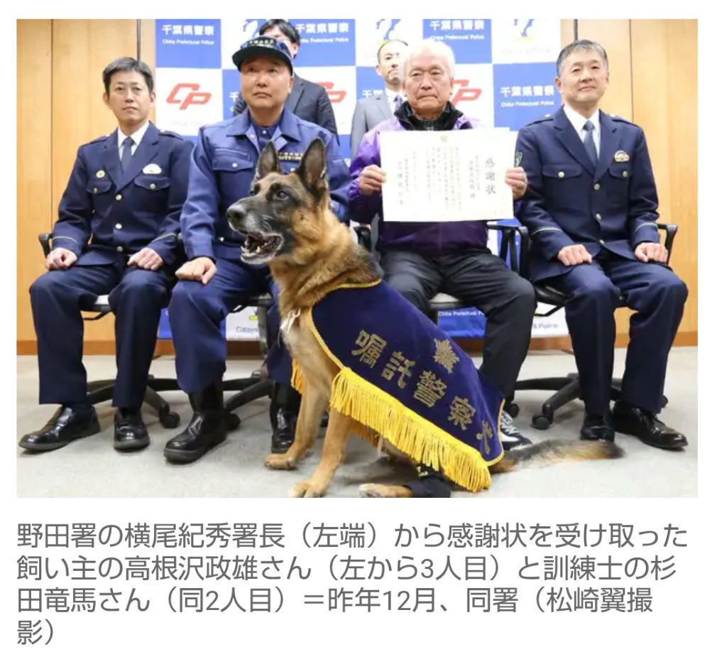 【千葉】初出動でお手柄　嘱託犬「レックス」が行方不明男性発見     男性は自ら首を切った状態…現在は回復   野田署が感謝状