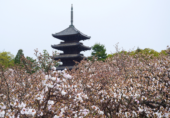 【中央日報】日本の宿泊費が2万円から3000円台に“暴落”…中国人観光客消失の影響