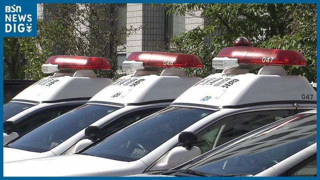 【新潟】国道上でクマと乗用車が衝突　運転手の女性（20代）にけがなく熊は立ち去る　阿賀町