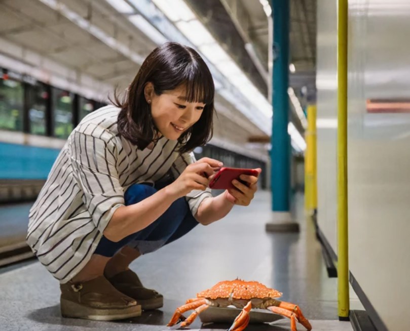 【ネットストーカー】「駅構内にカニ」　奇妙なSNS投稿はネットストーカーの罠！？　画像・動画アップは要注意　防犯アドバイザー「瞳に映ったものから場所特定」