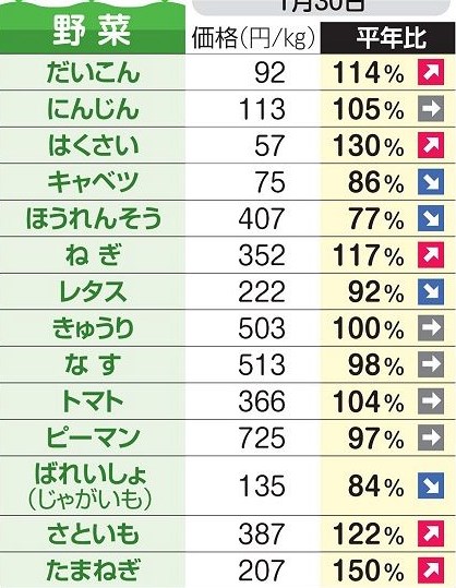 【お得】1月30日市場情報 安い「ジャガイモ、キャベツ、ホウレン草、レタス」高い「玉ねぎ、白菜、里芋、大根、ネギ」