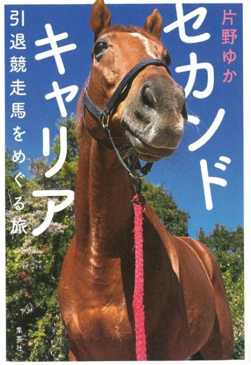 【競馬】｢毎年、約6000頭が引退」「多くは行方不明に…」引退競争馬たちの“セカンドキャリア”はどうなる？