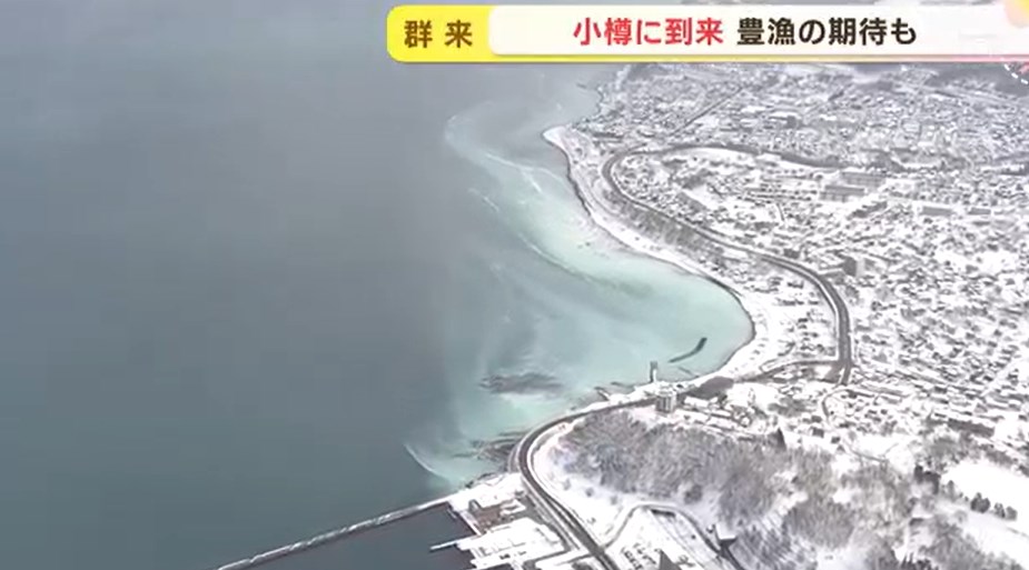 【北海道】海が白濁…小樽の河口付近は真っ白に　「群来」を確認　ニシンが産卵で大量に押し寄せ　豊漁に期待