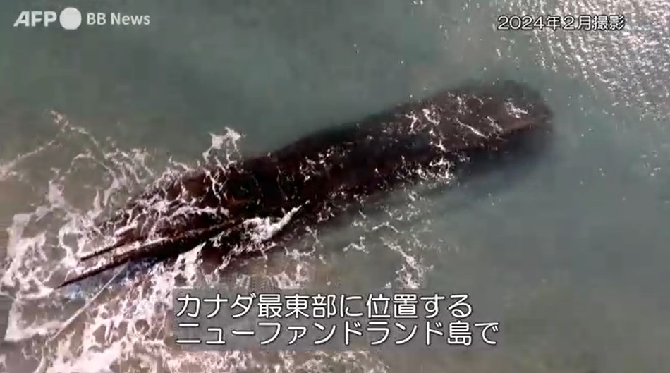 【難破船】カナダの島に謎の難破船が出現　19世紀のものか　（動画あり）