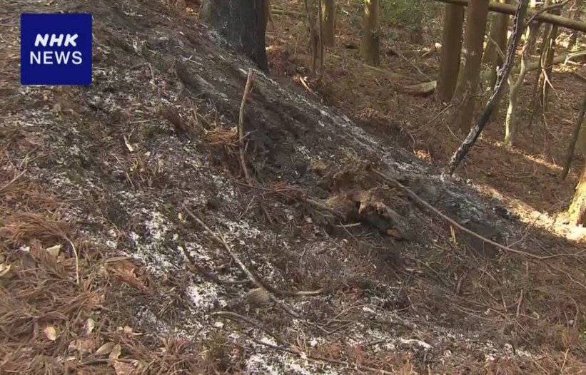 千葉県大多喜町の山奥で焼きグエンが発見される