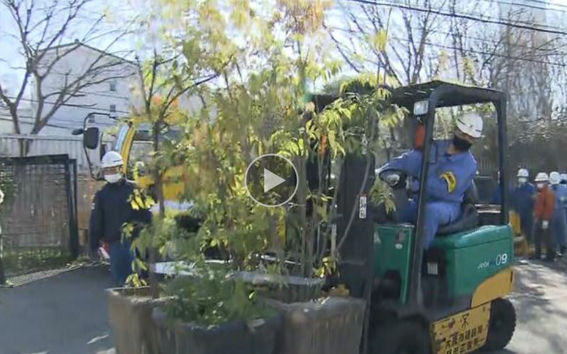 【大阪】歩道に放置“大量の植木鉢”を天王寺動物園が引き取る　担当者「ええな、ほしいなと思っていた」