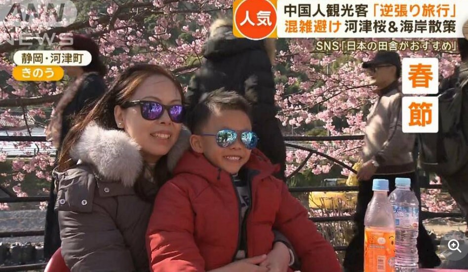 【観光客】日本で「逆張り旅行」　中国の若者の間で流行　混雑避け…伊豆の河津桜＆海岸散策