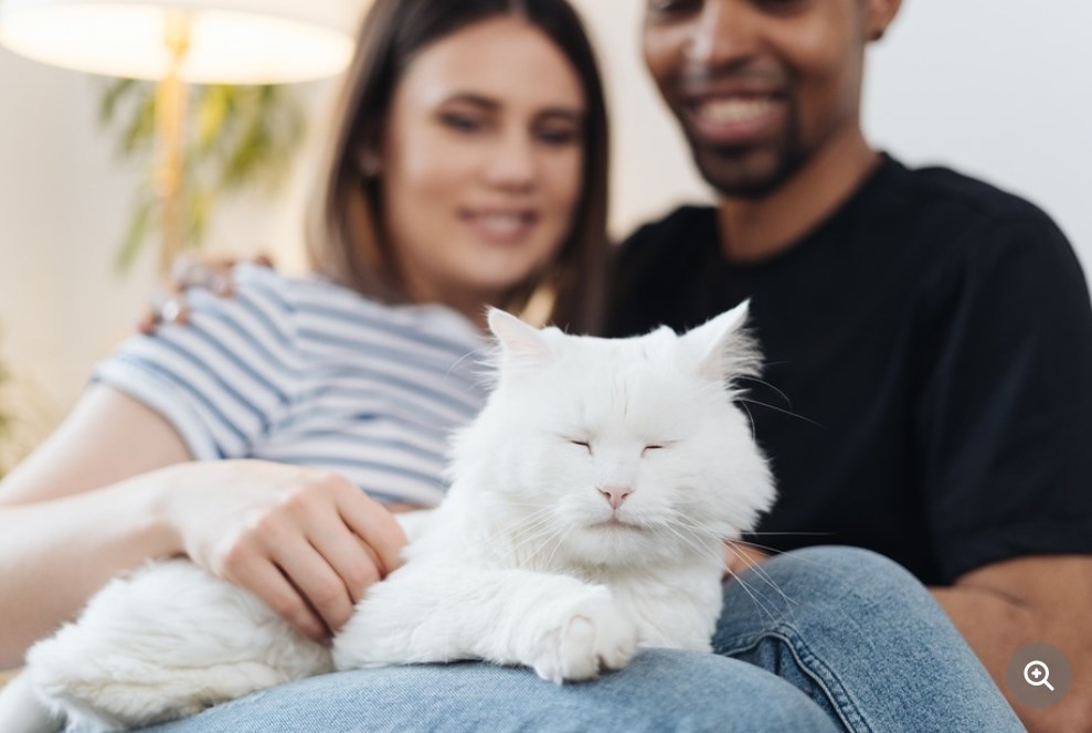 ペットを飼っているとモテるし恋人と一緒になった後も良い影響を与え続ける