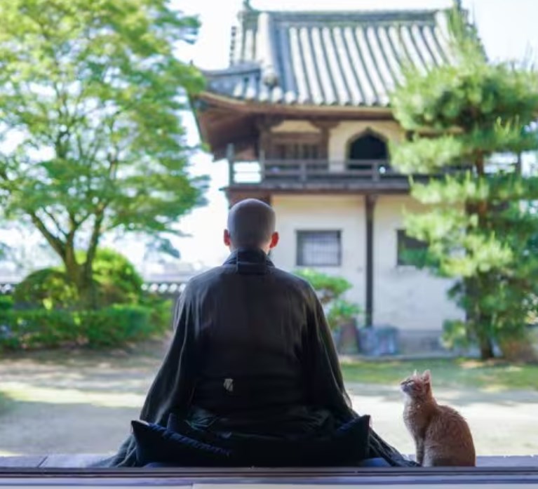 【今日は猫の日】「猫を差し出せ、これは命令だ」　織田信長は猫の天敵だった！ 　愛猫家たちの駆け込み寺とは