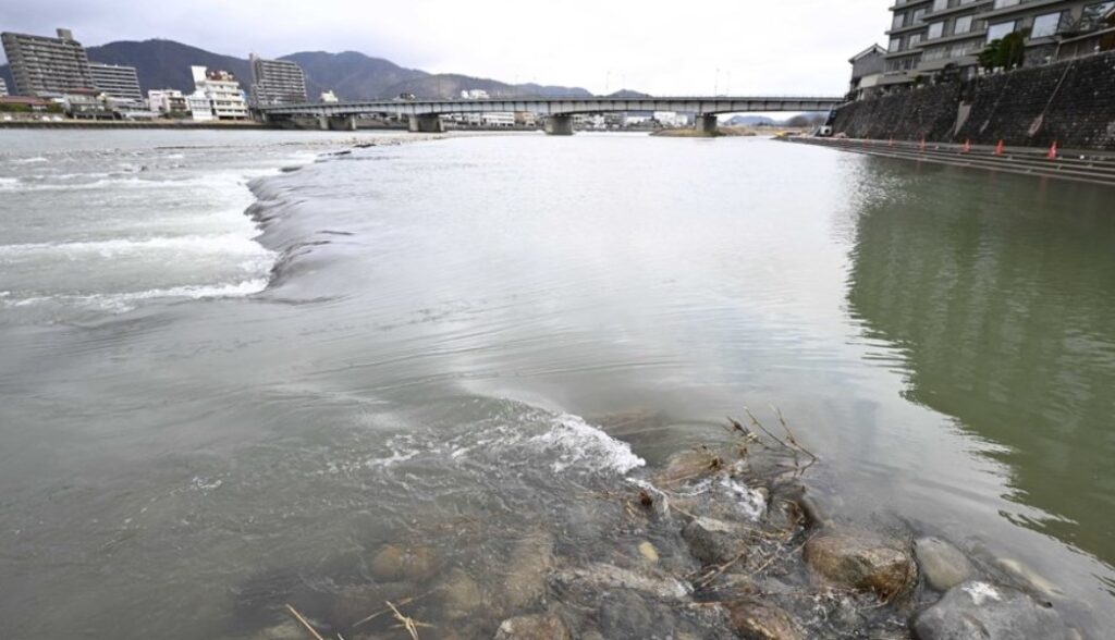 【岐阜】管理釣り場のニジマス、長良川に流出　増水で囲い土砂流され、遡上鮎への影響懸念