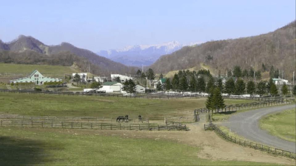 【競馬】「厩舎から火が出ている」馬17頭が死ぬ　サラブレッドを育成する奥山ファームの厩舎が全焼する火事