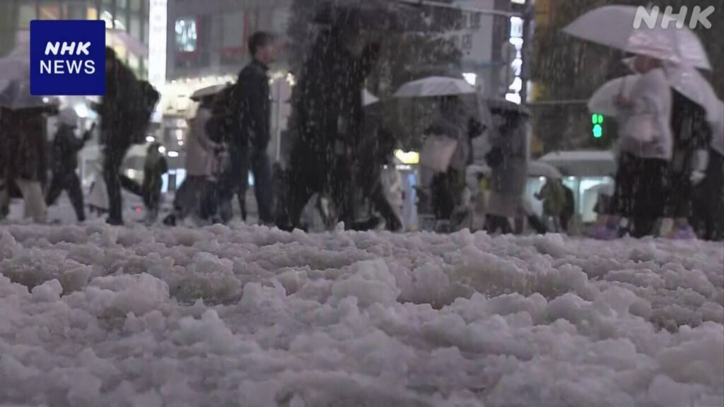 東京23区全域に大雪警報　午後8時に積雪6センチ