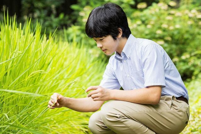 過去に盗作疑惑の悠仁さま“トンボの論文”で東大推薦へ始動…「手助けする人がいるのは公平か」の指摘