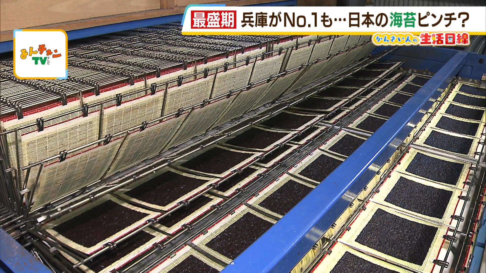 【日本の海苔がピンチ！？】２０年ぶりに兵庫が生産量日本一となった背景に“喜べない事情”も？養殖業者「海の栄養が少なくなり育ちにくく」