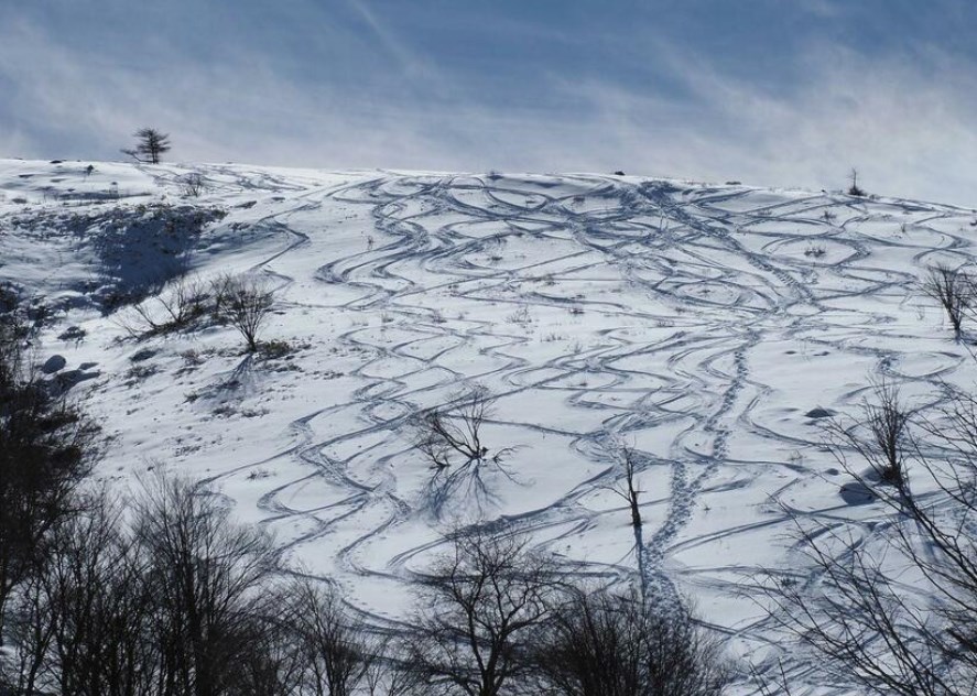 【立入禁止】天然記念物の湿原に“数え切れない”バックカントリースキー跡　大きな雪崩起こす危険も