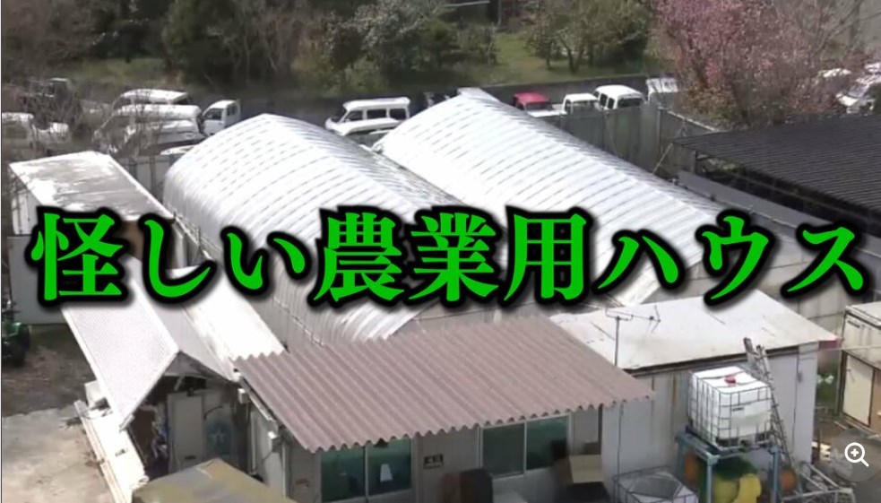 【大阪・岸和田市】「怪しい農業用ハウス」 住宅街の真ん中で大麻栽培 男2人を逮捕 ドライブスルー形式で販売していたか