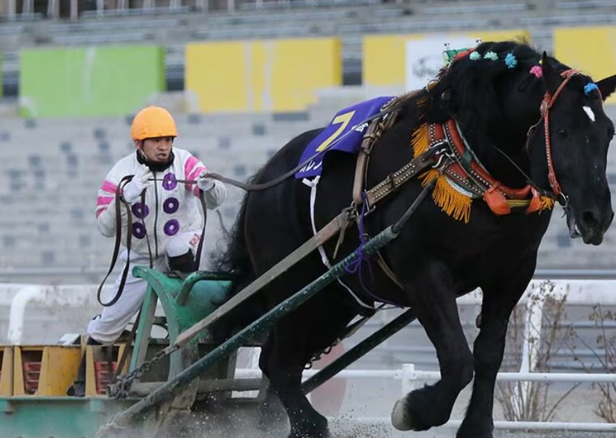 【東スポ】窮地の札幌ドームに〝ばんえい競馬〟待望論「解体しなくてもできる」「観光客呼べる」