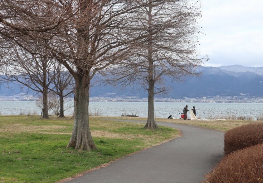 【キャンパーに人気】琵琶湖岸駐車場、有料化はマナー向上に効果なし？　社会実験で見えたものとは