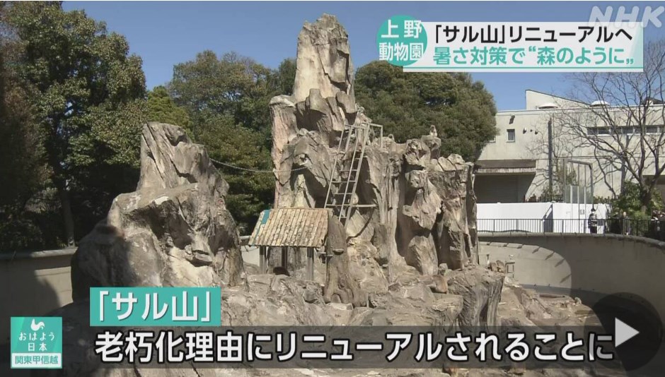 【話題】上野動物園のサル山取り壊しへ サルが暑さをしのげる森に