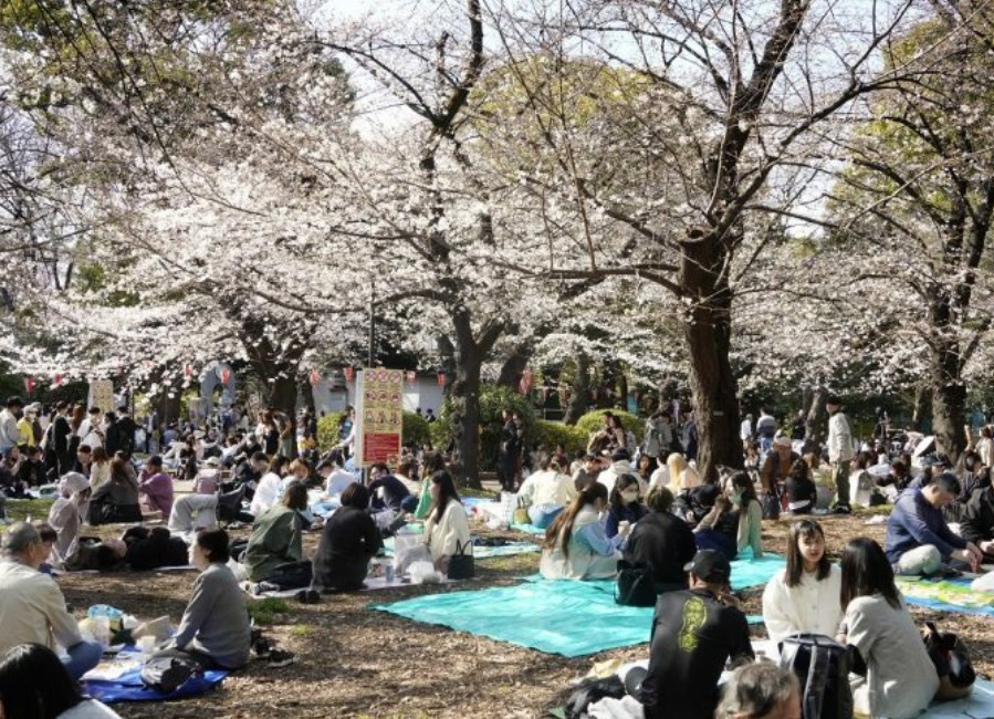 【お酒】春なのに気が重いアルハラ被害者たち　いまだに「酒が飲めなきゃ人権がない」と感じる人も