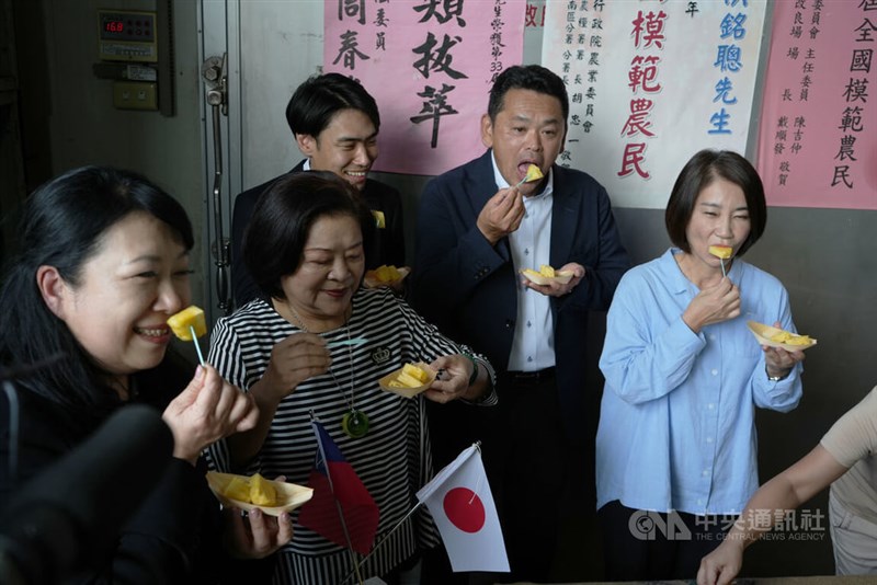 【台湾】 屏東県でパイナップルの収穫期 関東のスーパーに今年180トン輸出へ