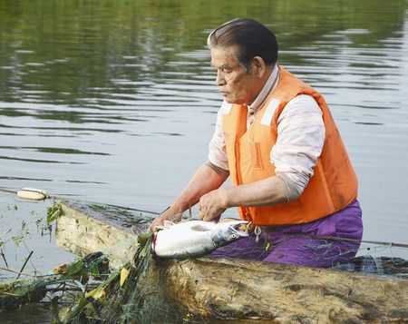 アイヌのサケ捕獲権認めず　民族団体の請求退ける―札幌地裁