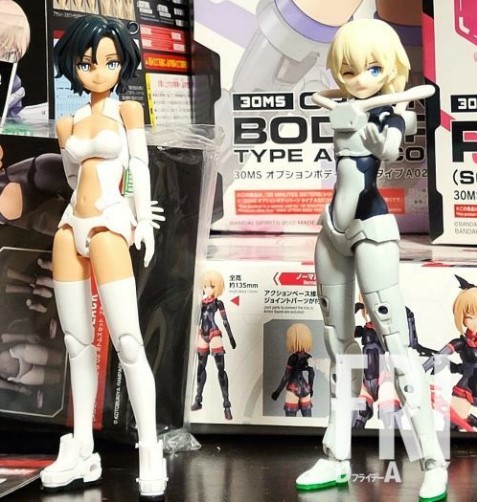 ガンプラに変わる、美プラとは？