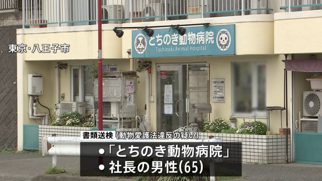 【東京都】八王子市の動物病院 無登録で犬を保管しトリミング業を営んだか 警視庁が法人と社長を動物愛護法違反の疑いで書類送検 犬はトリミング台から落下し死ぬ