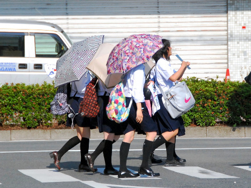 最近JKが日傘さしててビビる。。。そんなに老いたくないのかよ