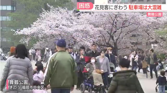 なんでも車でいこうとするキ○○イ車カス「花見の駐車場で出庫に1時間かかった」文句を垂れる