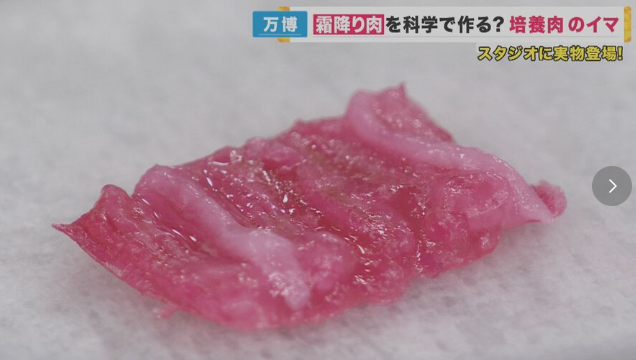 【培養肉】25年後には「家庭で肉を作れる」かも　脂身の量や肉の栄養も自分好みに