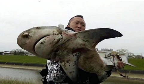 【温暖化】気性荒いオオメジロザメ、宮崎市の河口付近で釣り上げられる…専門家「見たら水辺から離れて」