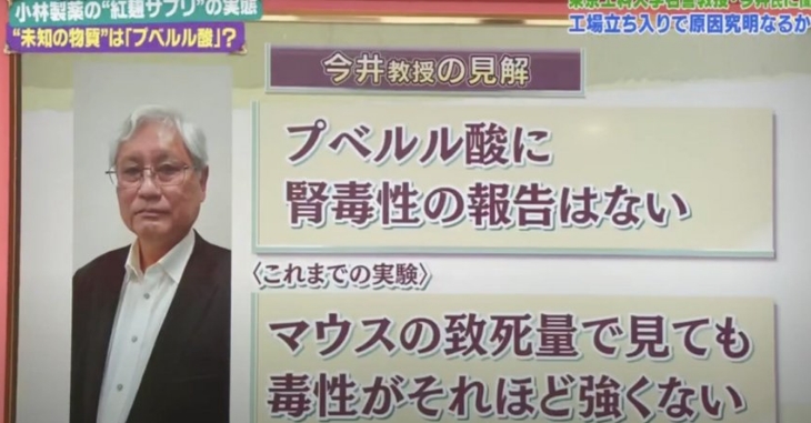 【じゃぁ、今回の死亡者は？】東京工科大学 今井伸二郎教授「プベルル酸に腎毒性の報告は一切無い。紅麹も風評被害、何百年食べれているがそういった報告は一切無い」